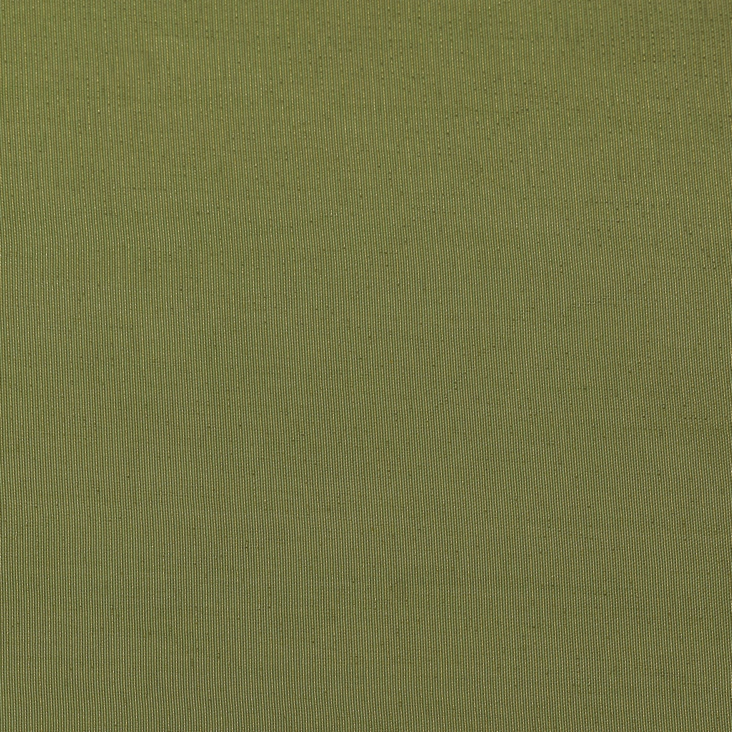 Pear Green Color Tissue Plain Fabric