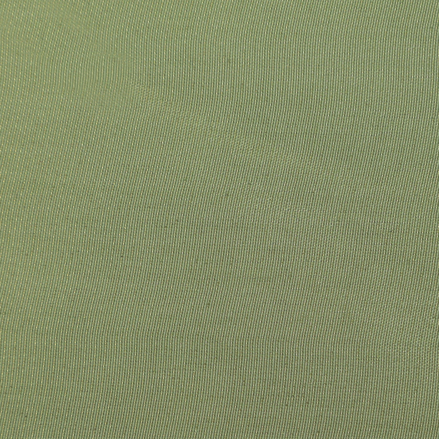 Pista Green Color Tissue plain Fabric