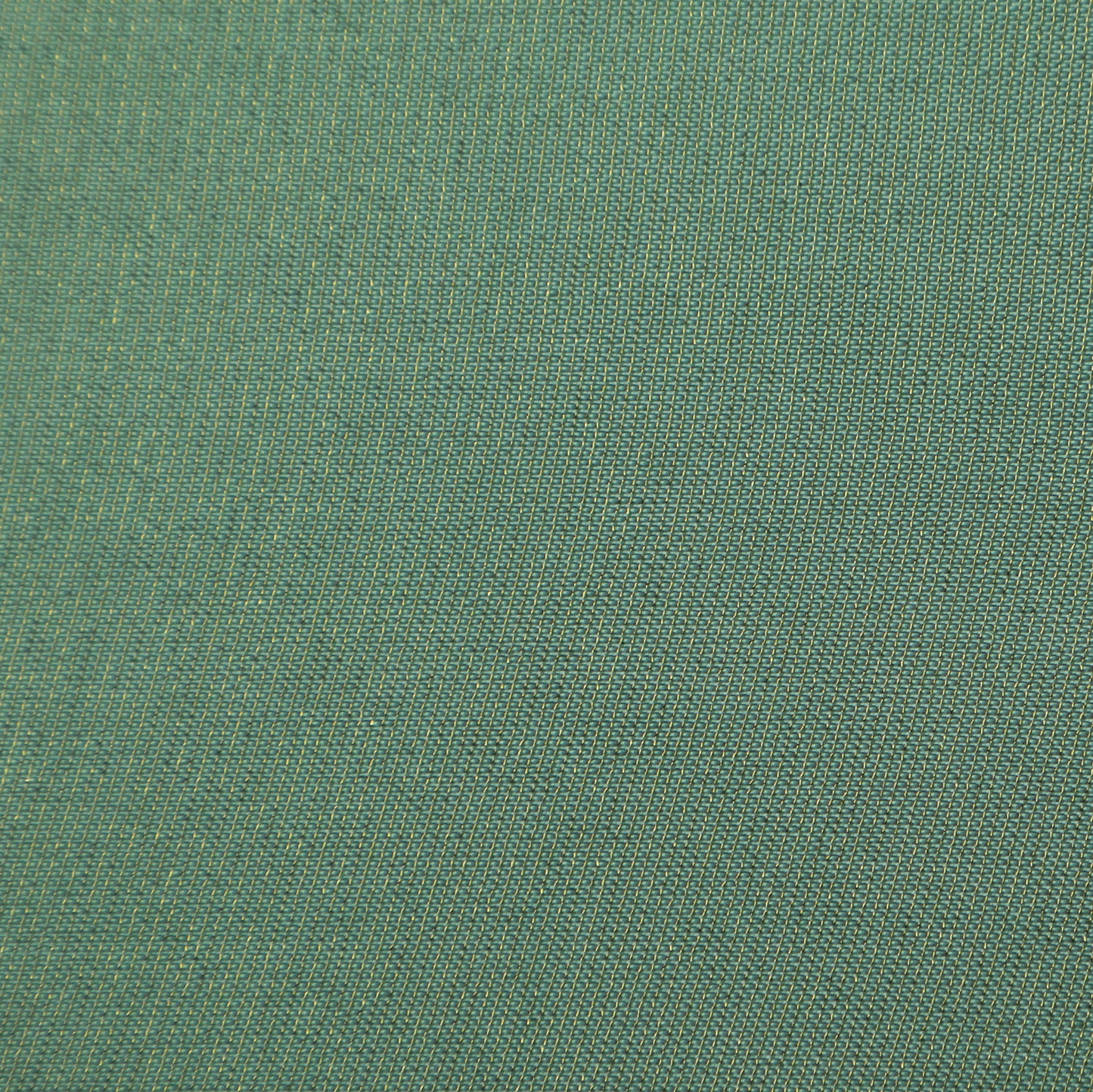 Fern Green Color Tissue plain Fabric