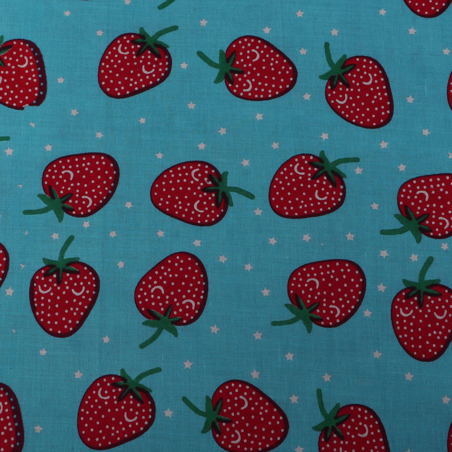 Multi-Color Cotton Print Fabric