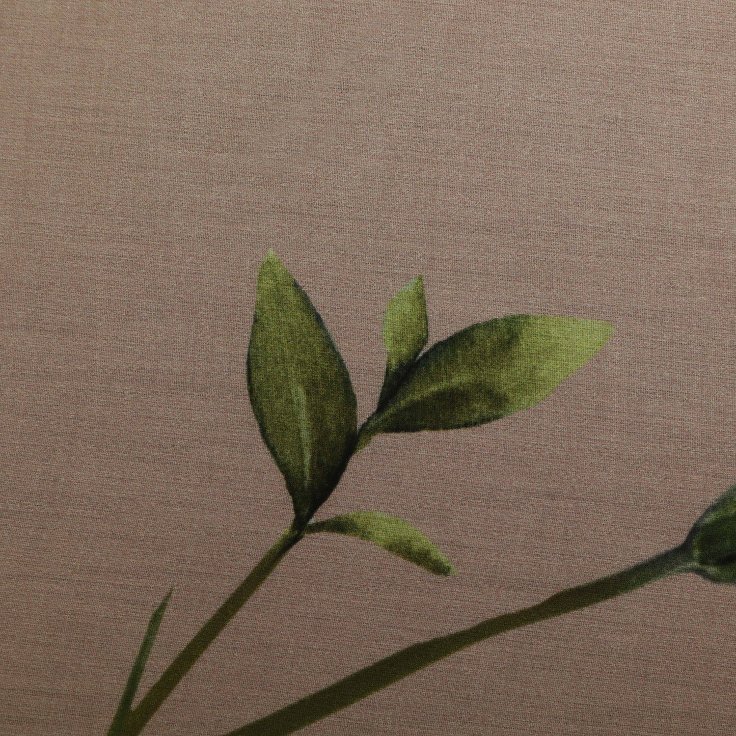 Colored Glace Cotton Print Fabric