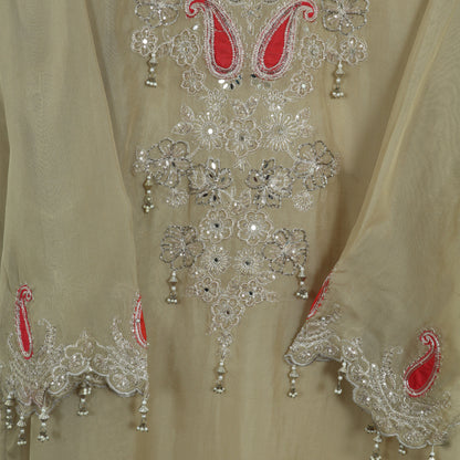 Semi Stitched Organza Suit