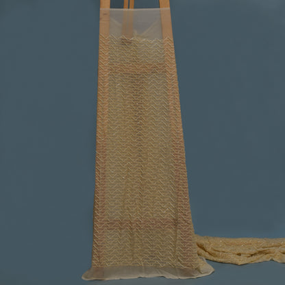 Cream Color Georgette Embroidery Fabric