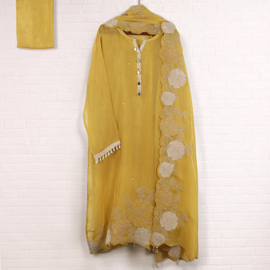 Semi Stitched Organza Suit