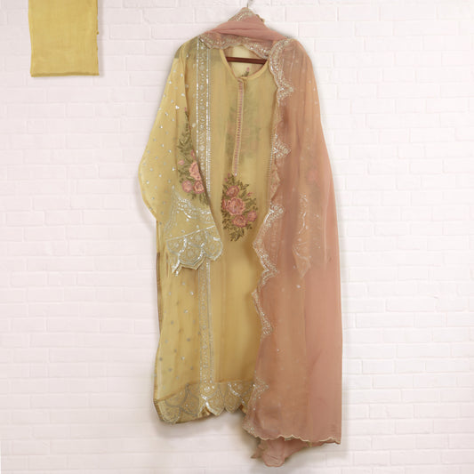 Semi Stitched Organza Suit