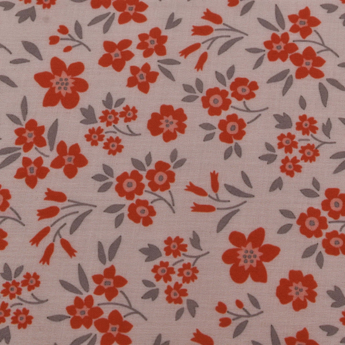 Colored Cotton Print Fabric