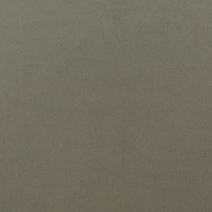 Light Grey  Color Tissue Plain Fabric