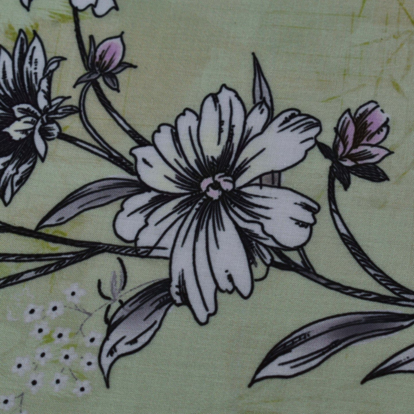 Colored Cotton Print Fabric