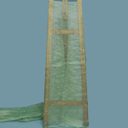 Hazel Green Color Tissue Booti Fabric