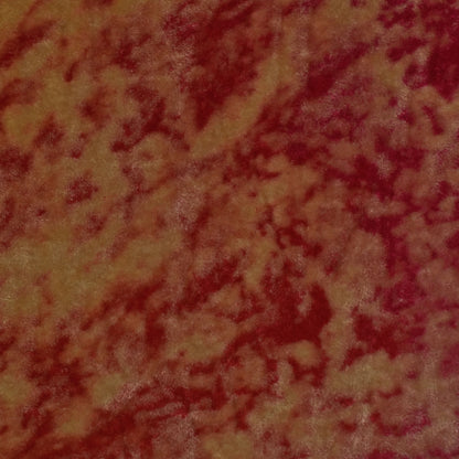 Multi-Colored Silk Velvet Print Fabric