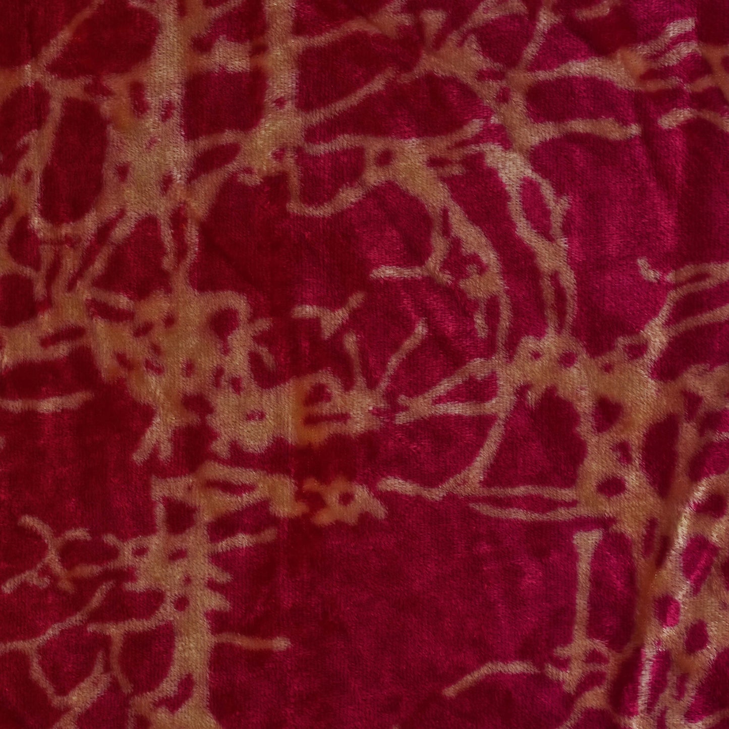 Neon Color Silk Velvet Print Fabric