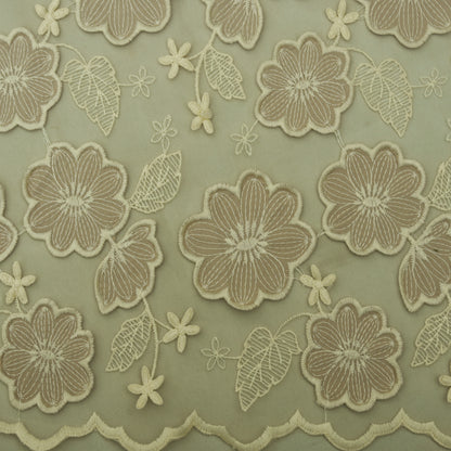 Beige Color Net Embroidery Fabric