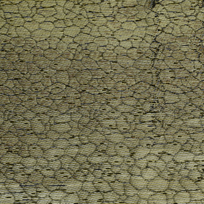 Mary Silk Lurex Fabric