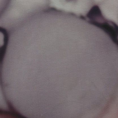 Georgette Print Fabric