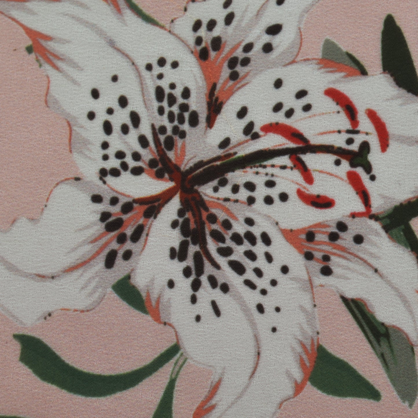 Georgette Print Fabric