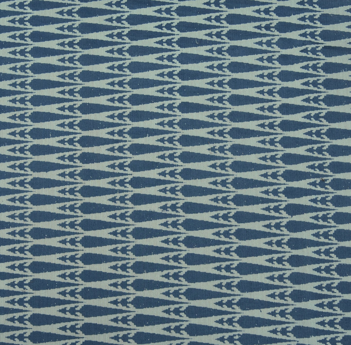 Organic Chanderi Print Fabric