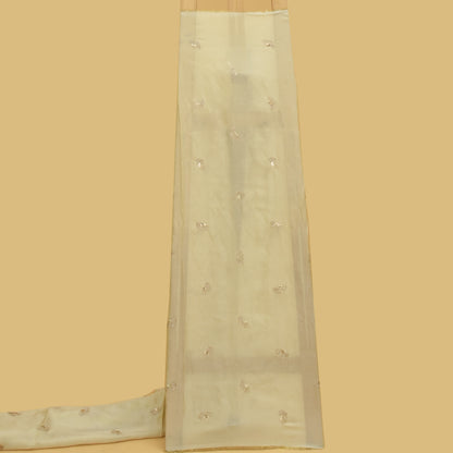 Beige Color Tissue Embroidery Fabric