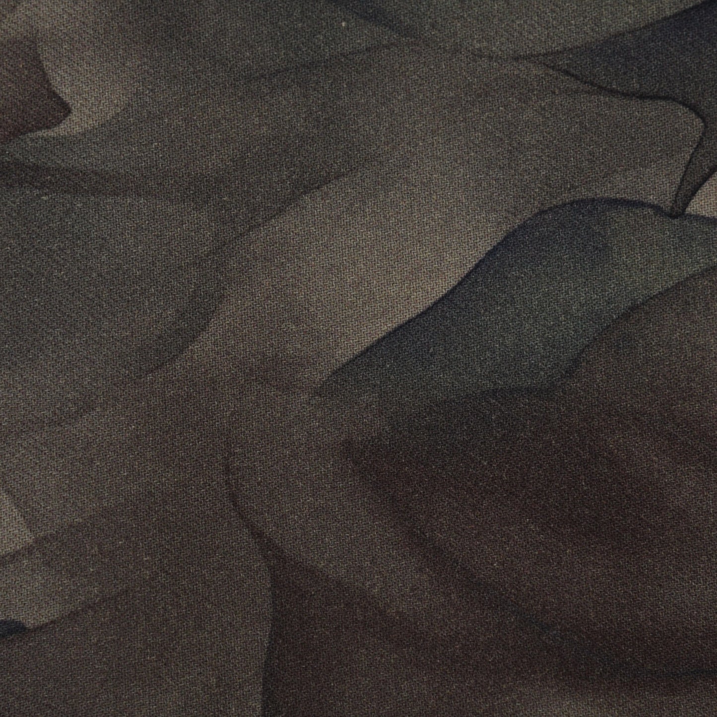 Multicolor Pashmina Print Fabric