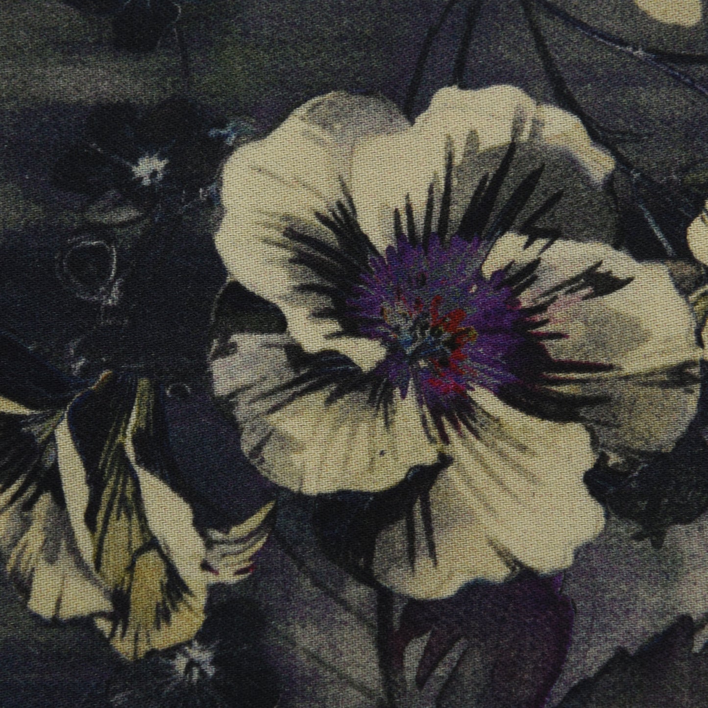 Multicolor Pashmina Print Fabric