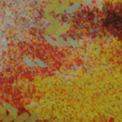 Multicolor Georgette Print Fabric