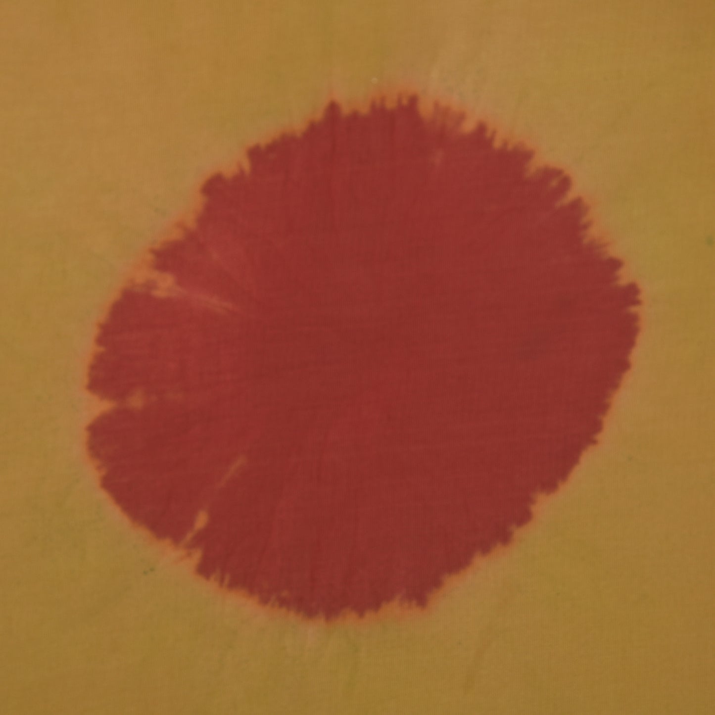 Crepe Shibori Print Fabric