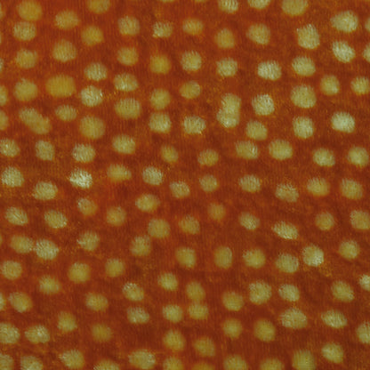 Pure Silk Velvet Print Fabric