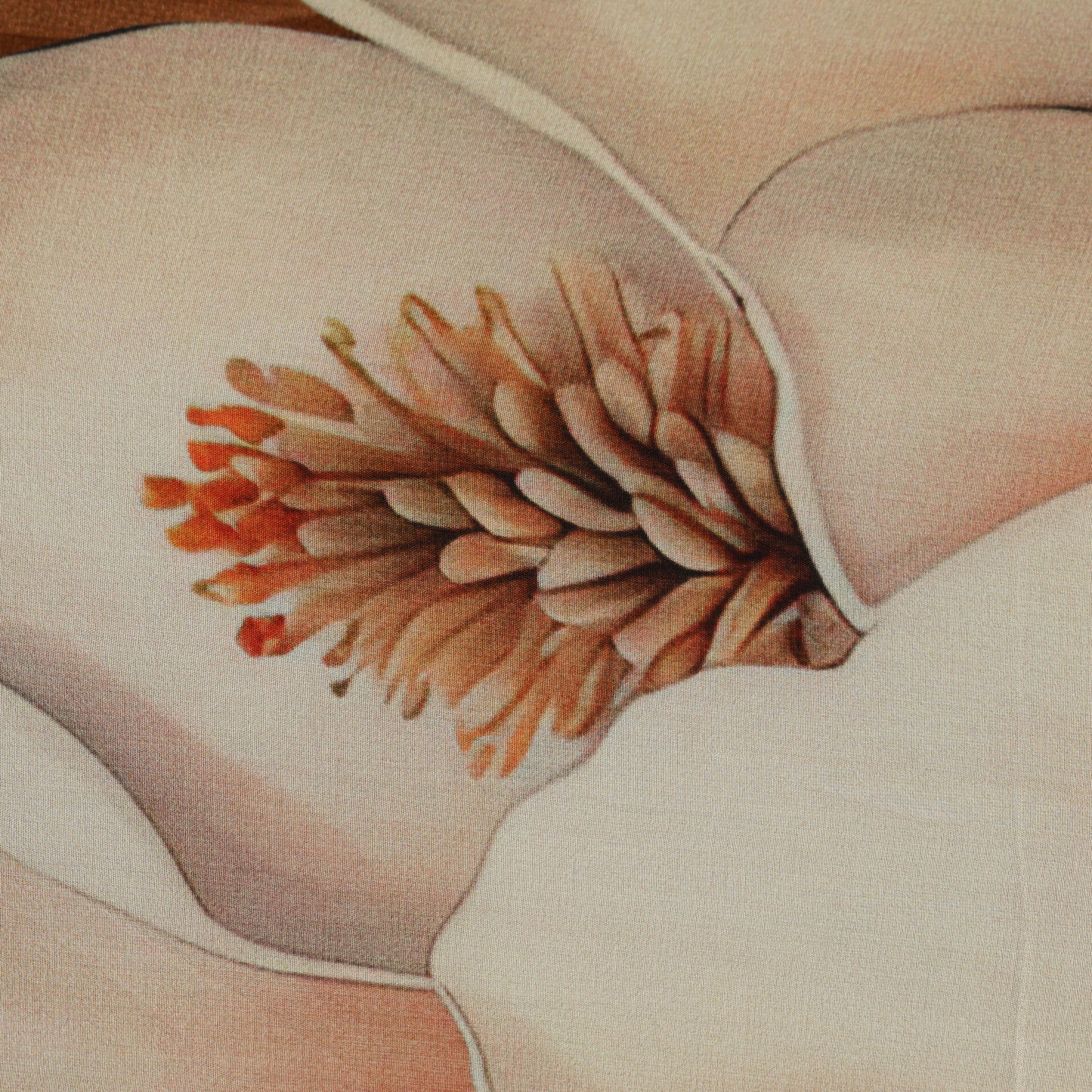 Floral Print Satin Fabric