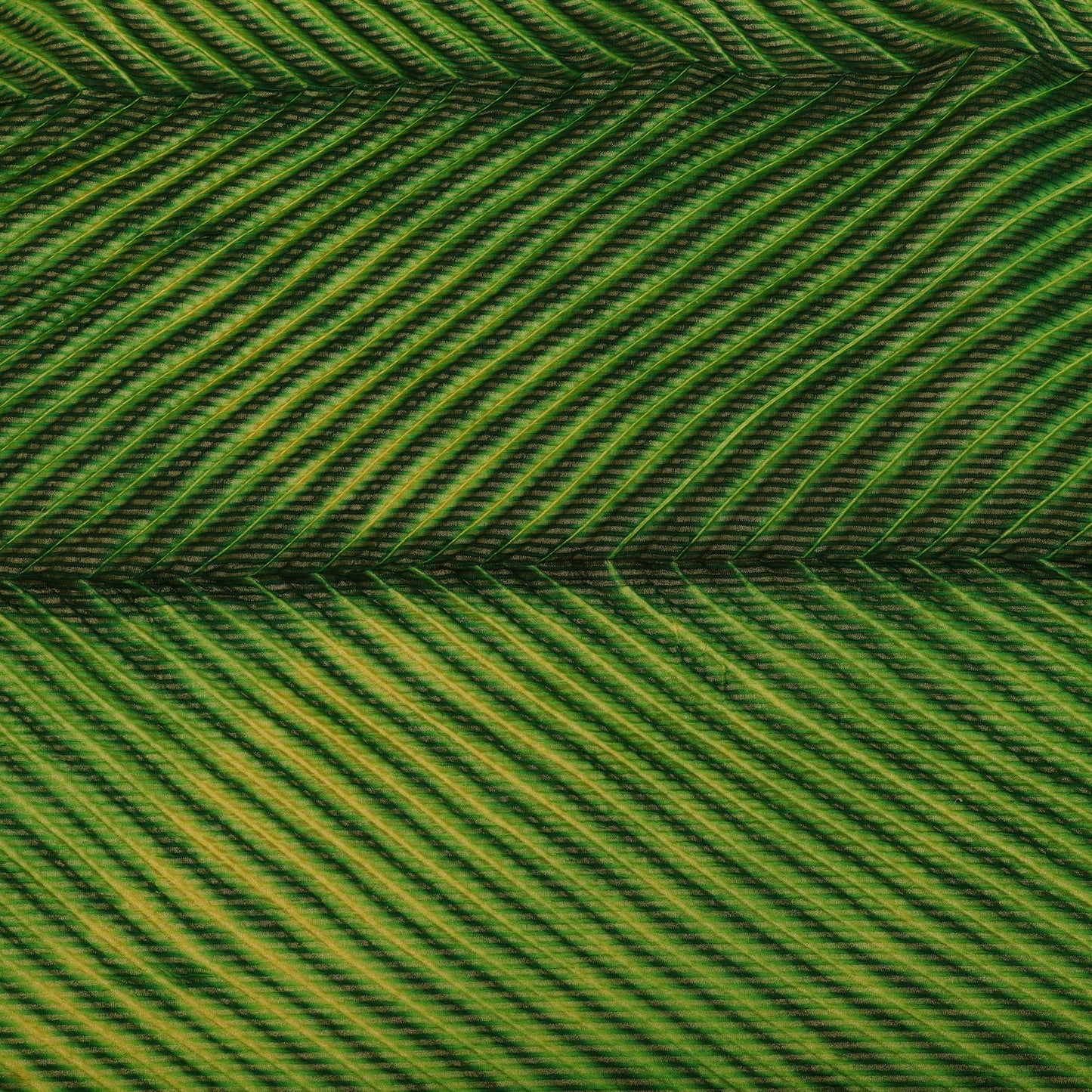 Bandhani Brocade Print Fabric