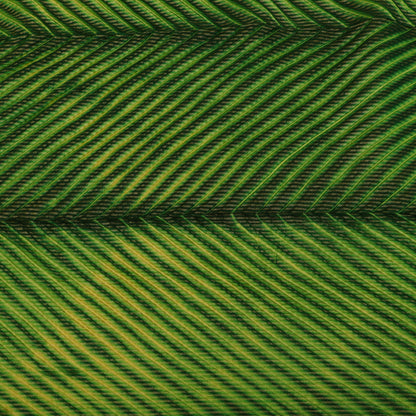 Bandhani Brocade Print Fabric