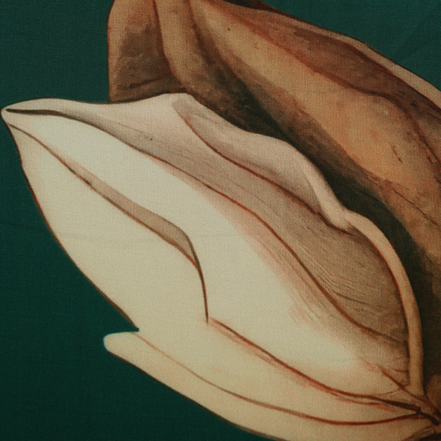 Floral Design Crepe Hydra Print Fabric