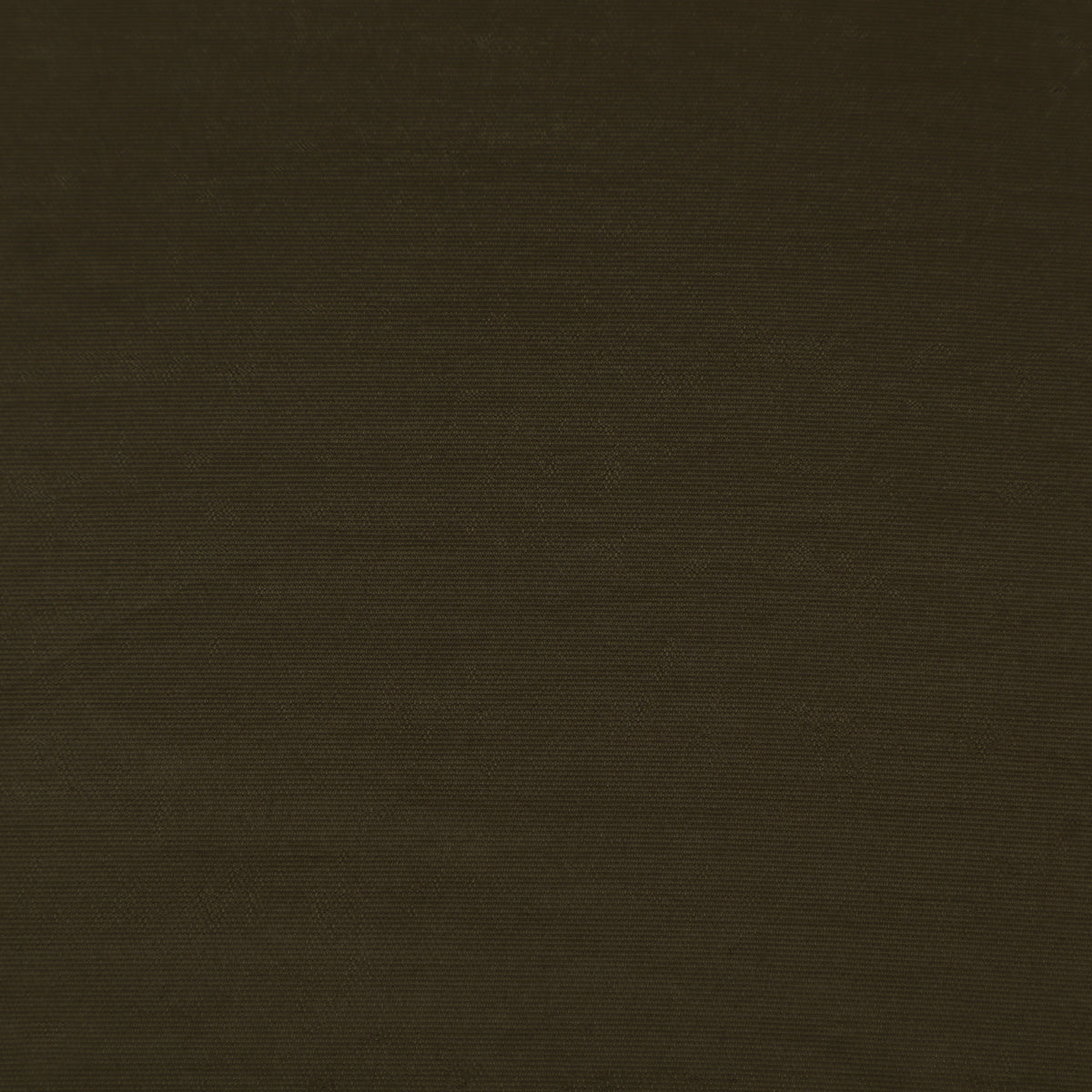 Organza Border Fabric