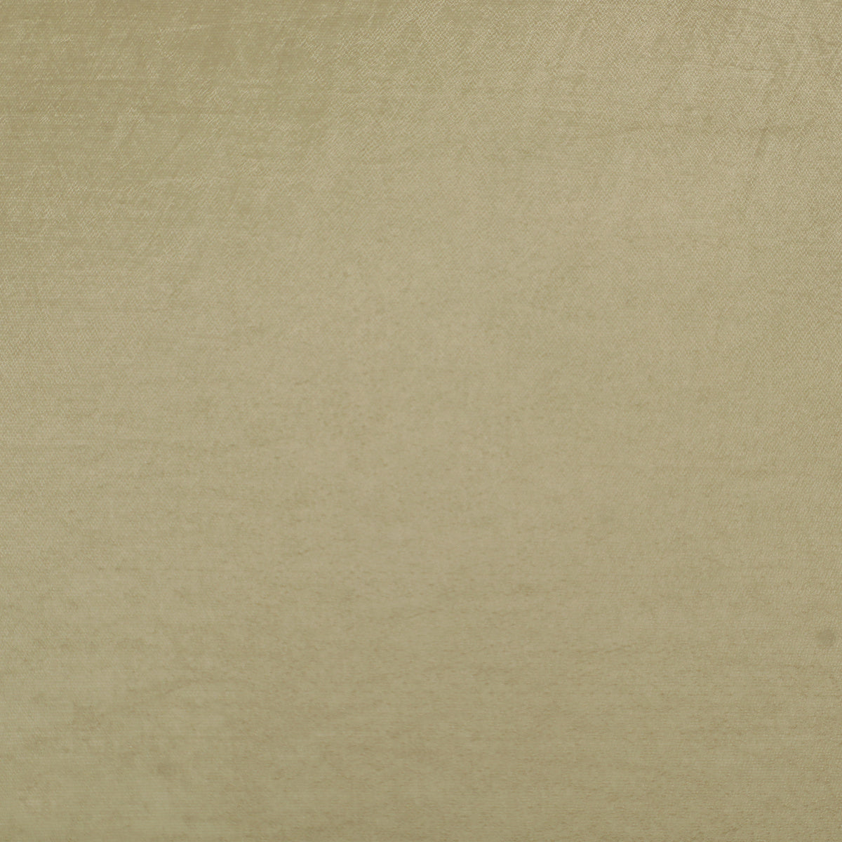 Organza Border Fabric