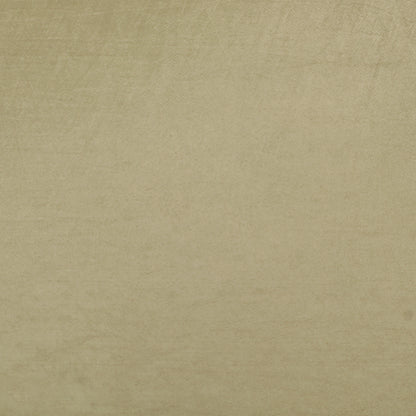 Organza Border Fabric