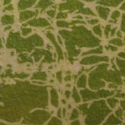 Neon Color Silk Velvet Print Fabric