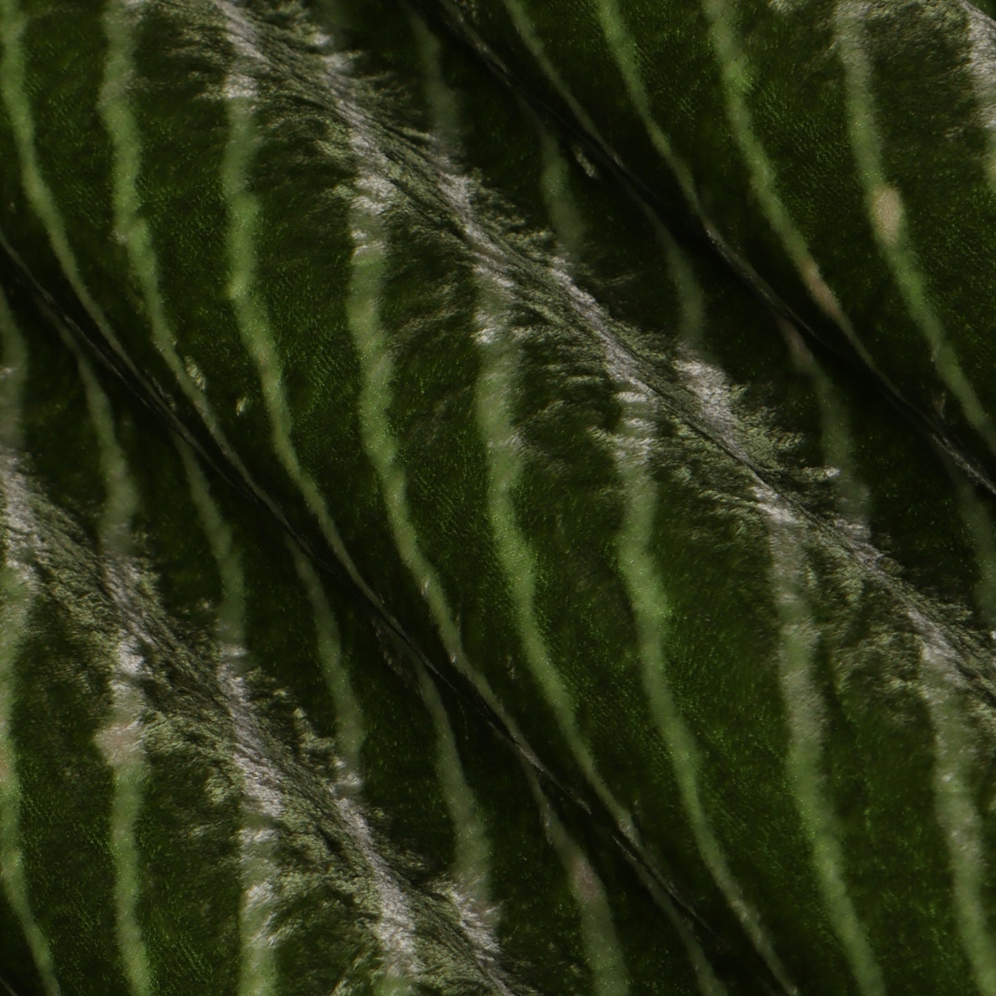 Neon Color Silk Velvet Print Fabric