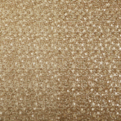 Golden Sequins Net Embroidery