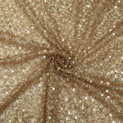Golden Sequins Net Embroidery