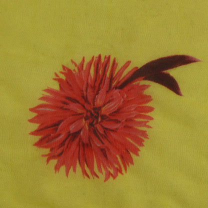 Multicolor Organza Print Fabric