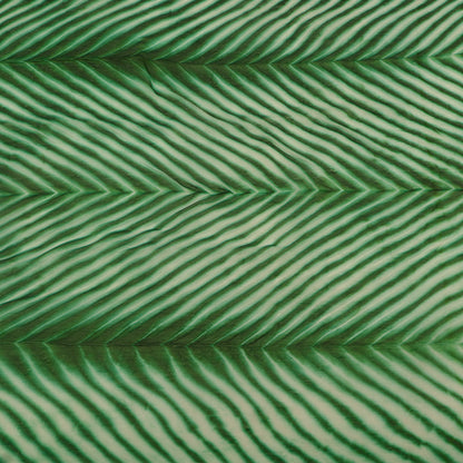 Green and white striped pattern