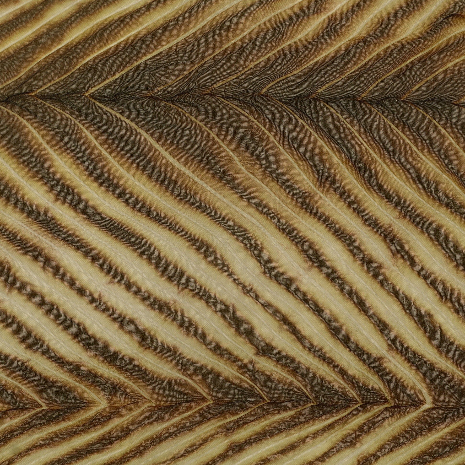 Close-up of sand dune with ripples in a desert landscape