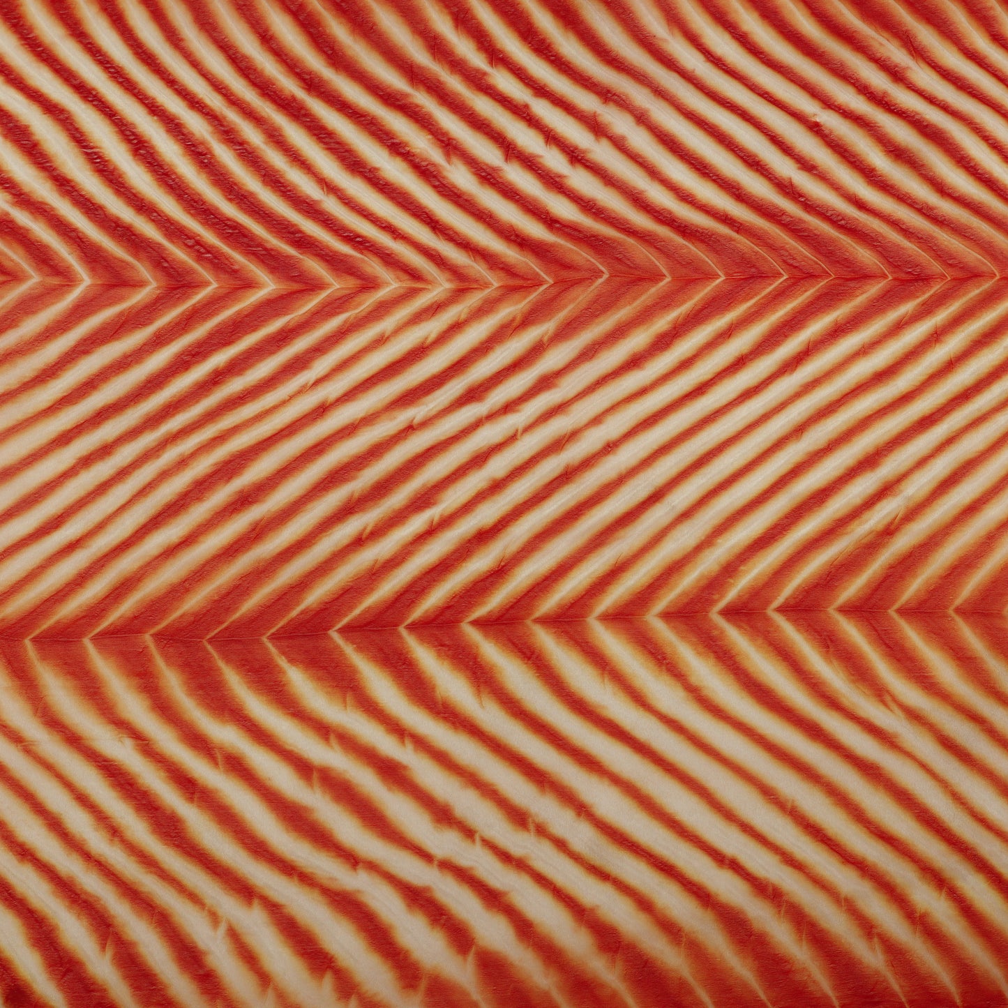 Kora Organza Brocade Fabric