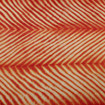Kora Organza Brocade Fabric