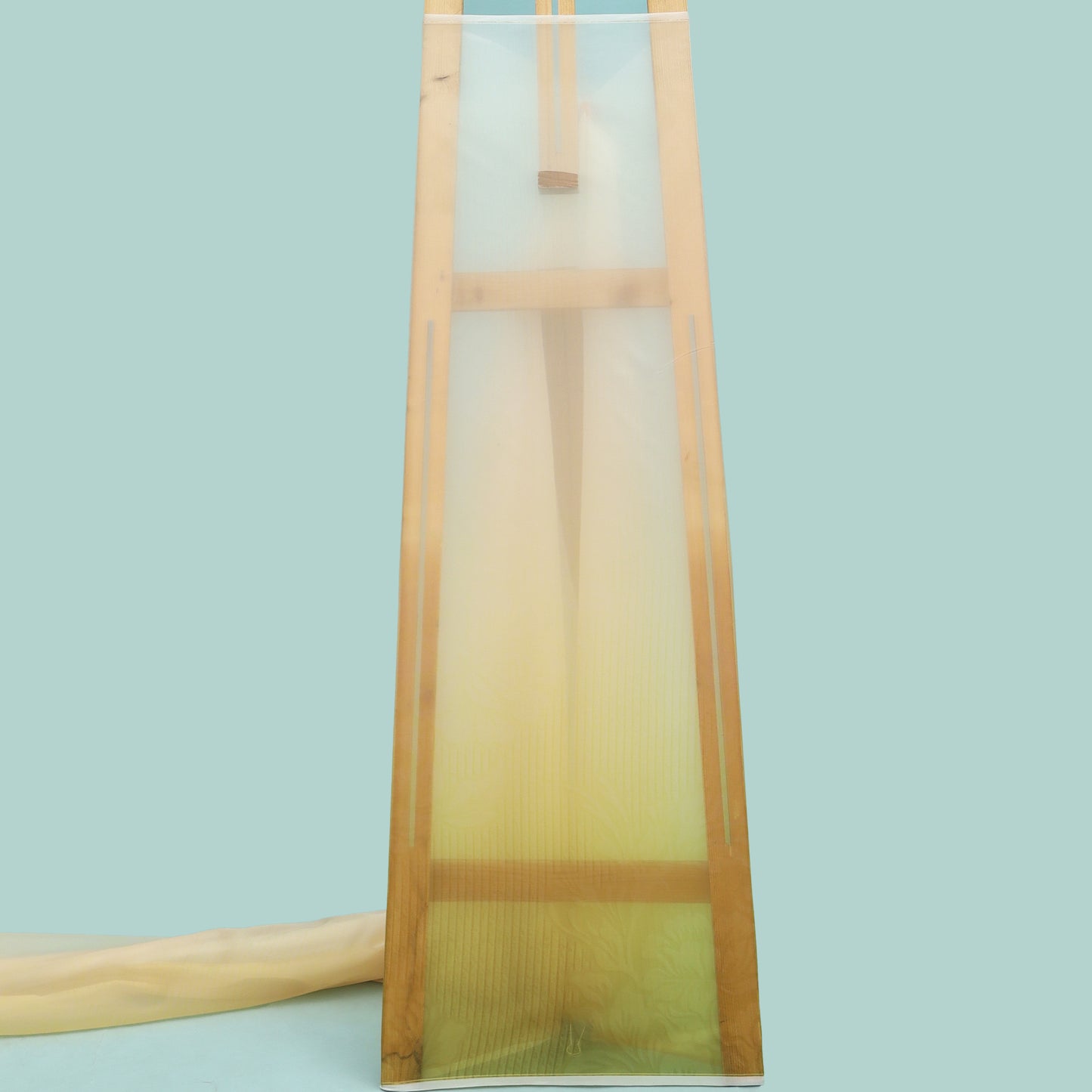 Shaded Satin Organza Print Fabric