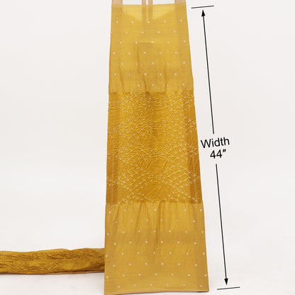 Pure Tissue Bandhani Brocade