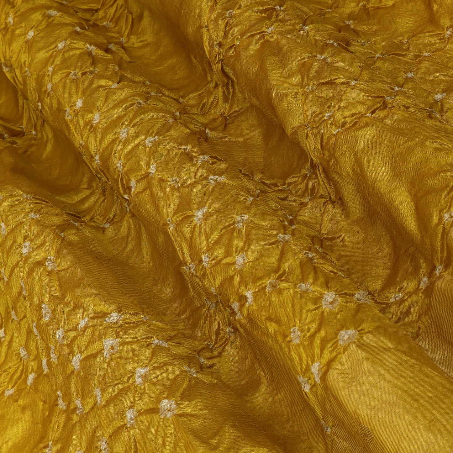 Pure Tissue Bandhani Brocade
