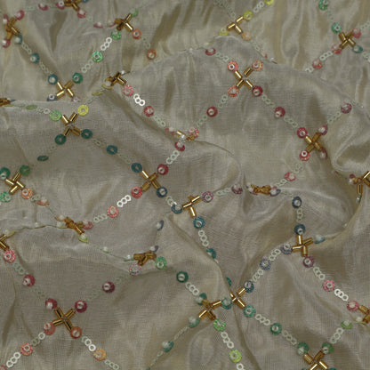 Beige Color Tissue Embroidery Fabric