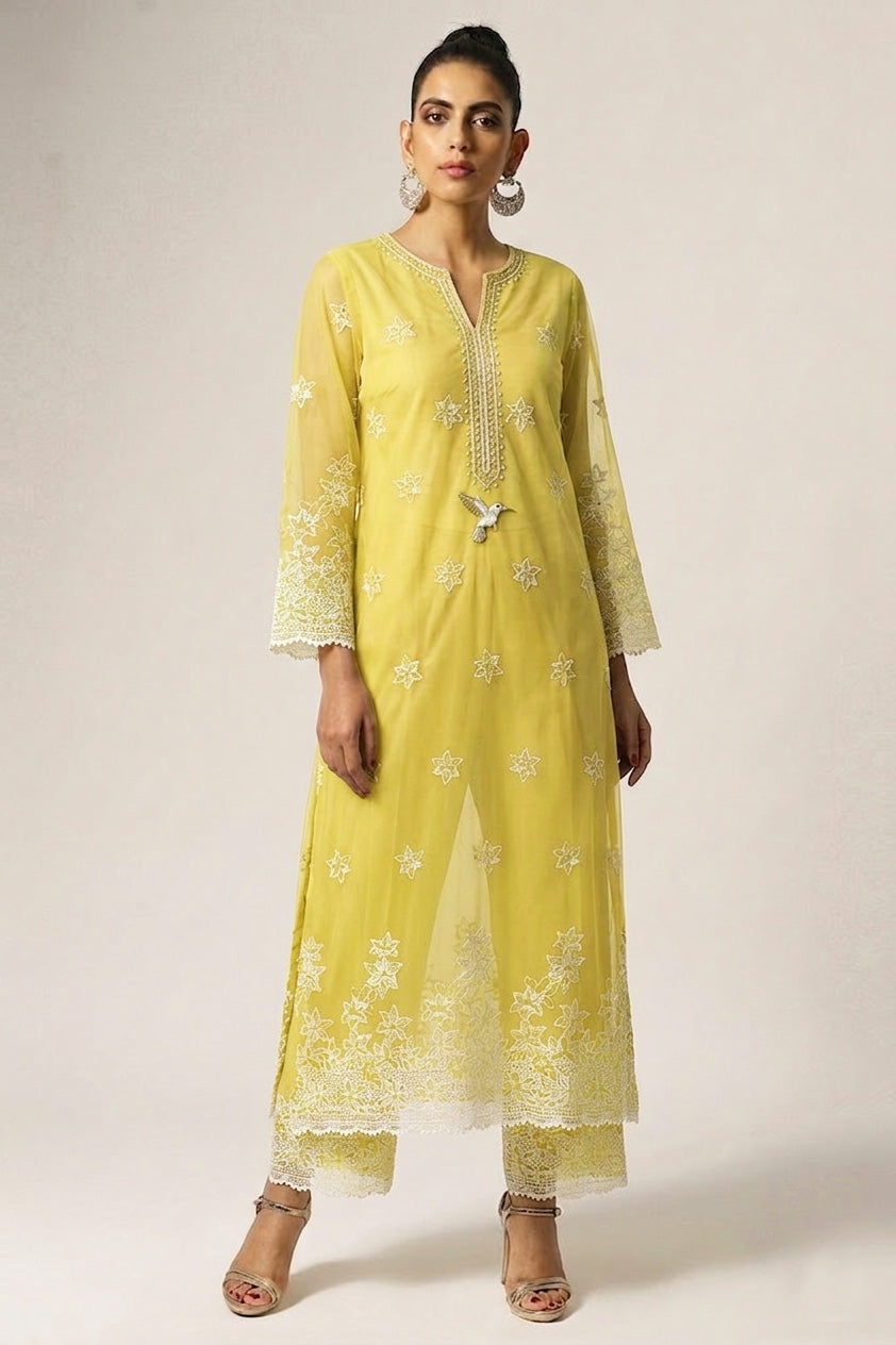 Chiffon Embroidery Fabric