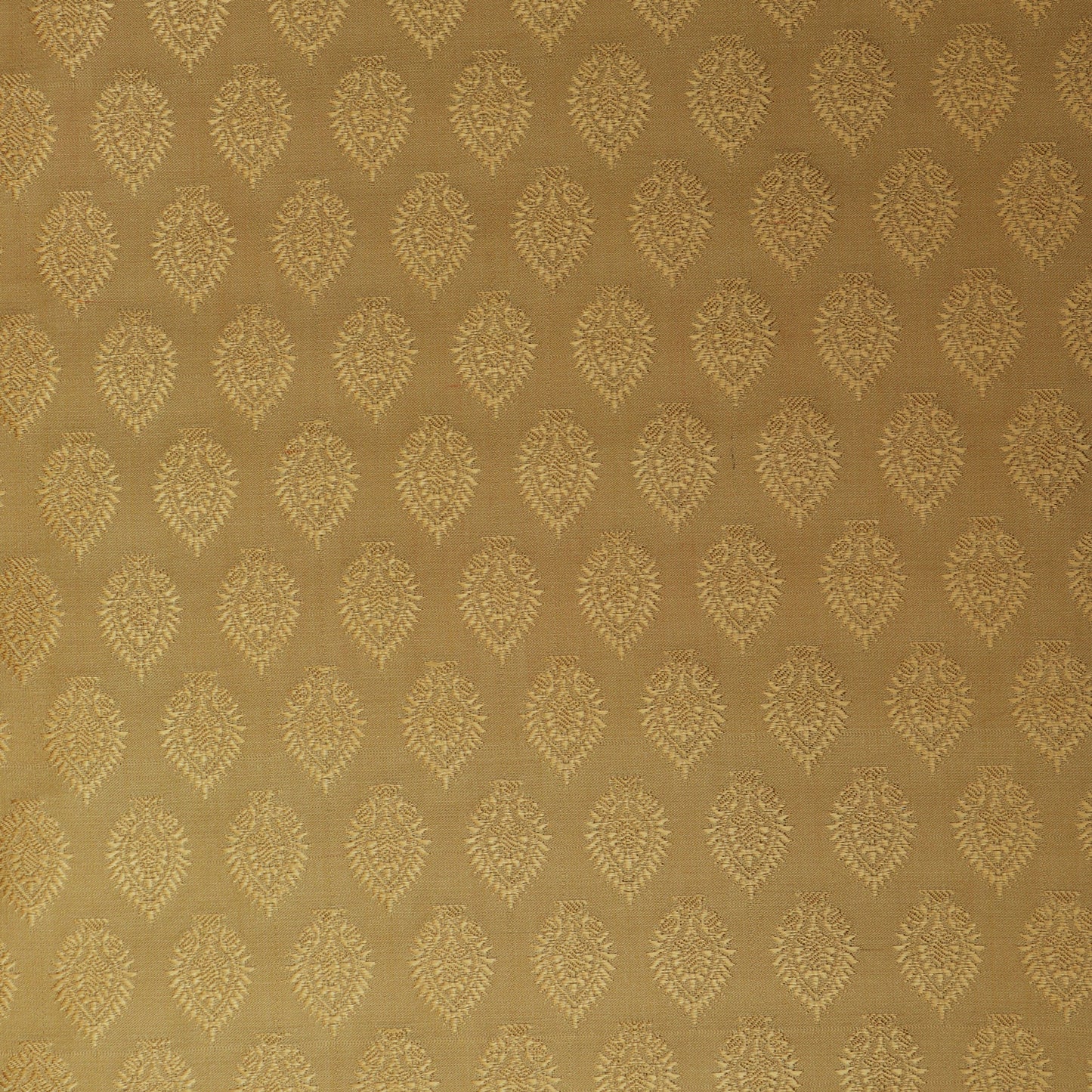 Beige Color Tanchui Self Brocade Fabric