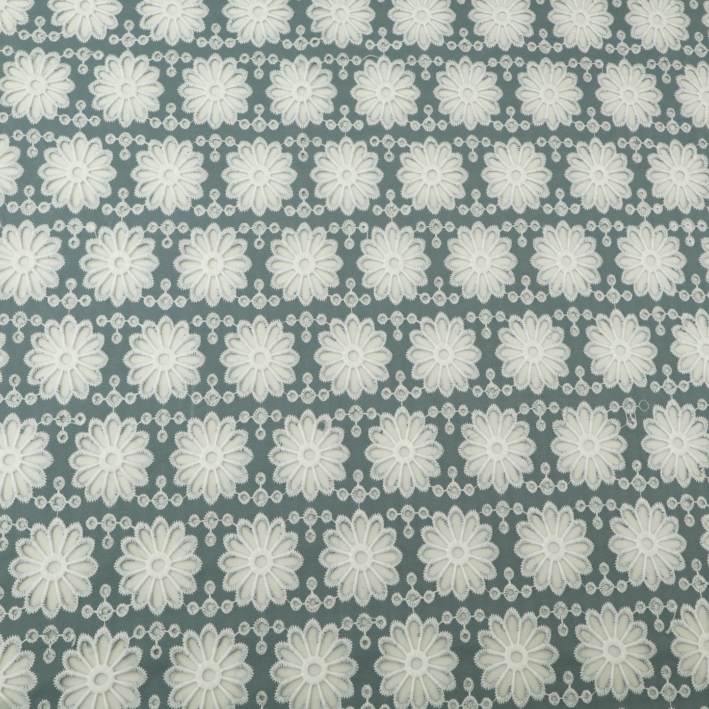 Pattern of white flowers on a gray background