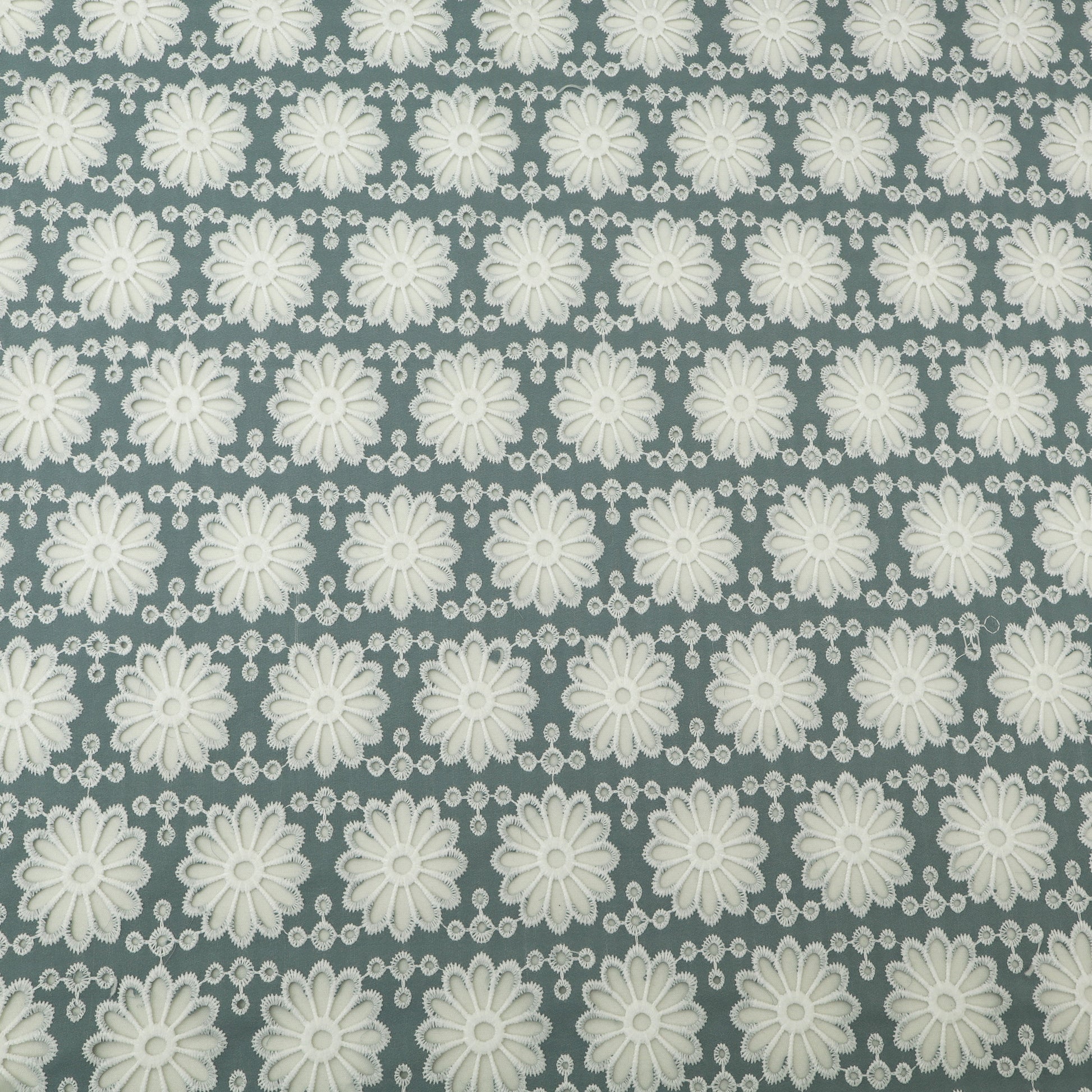 Pattern of white flowers on a gray background
